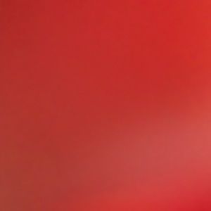 Meet your Posher, Bryan